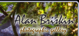 briskin photo gallery